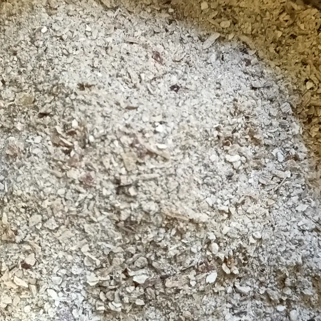 svampsalt detalj.webp