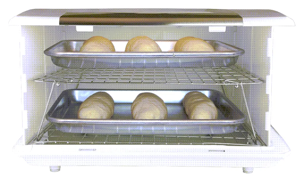 brod och taylor roster.webp