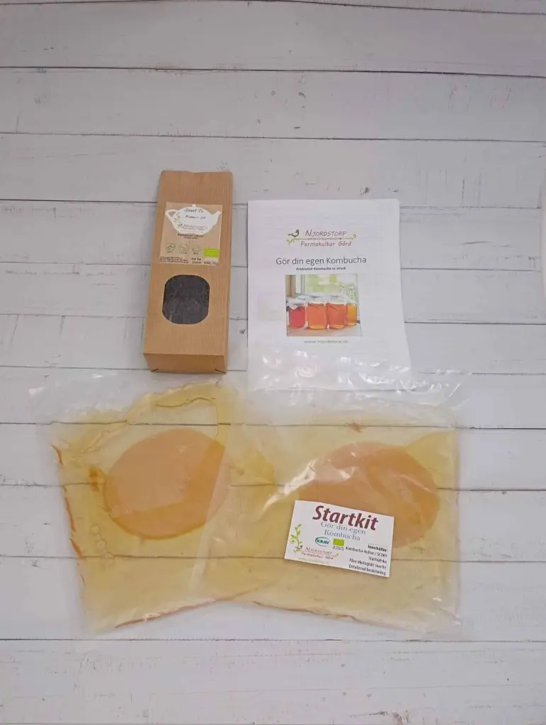 kombucha startkit 2-liter med svartte