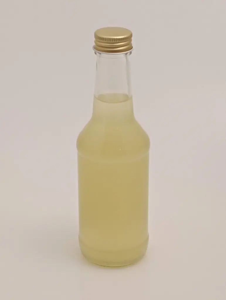 Shio-koji ekologisk.webp