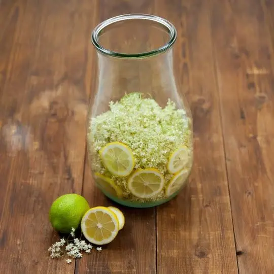 WECK Tulpenglas 2700ml inhallt.webp