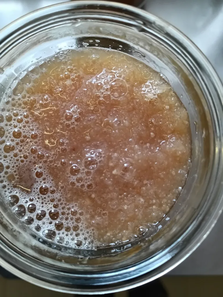 vattenkefir gryn jäsning.webp