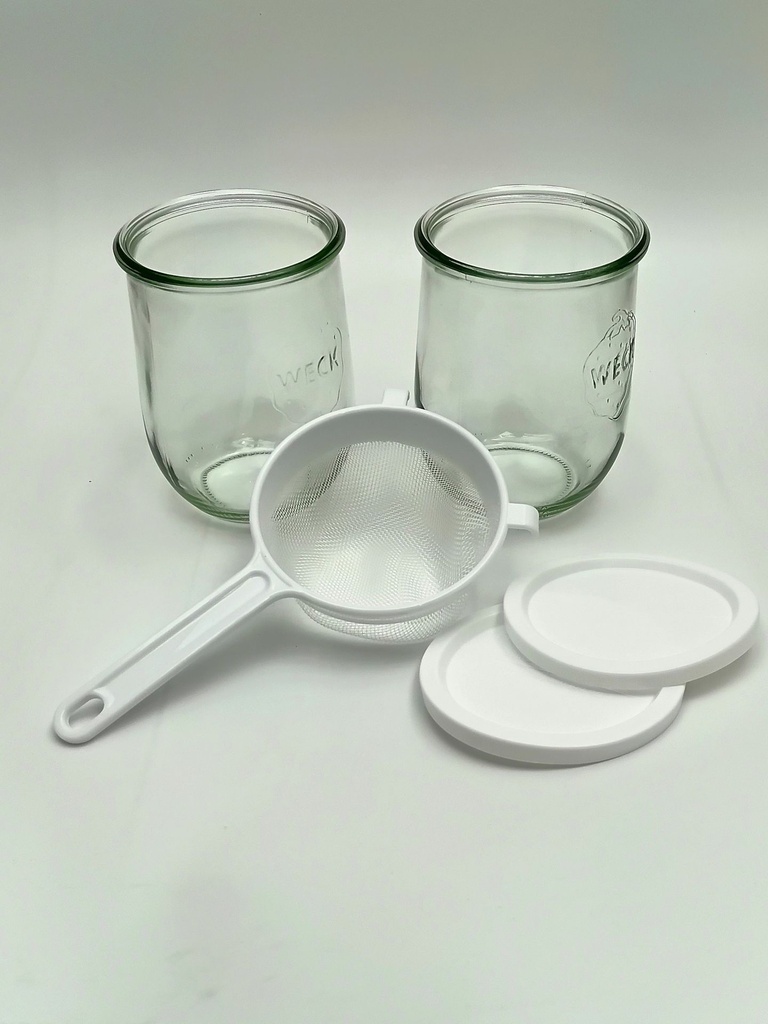 kefir kit