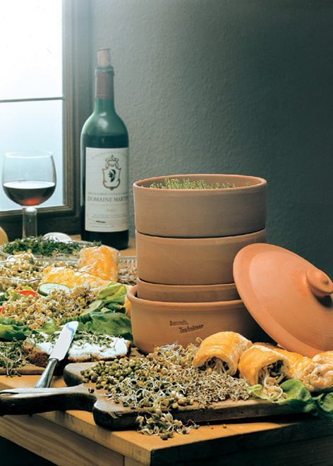 [Tonodling] Shoot cultivation Clay cultivation