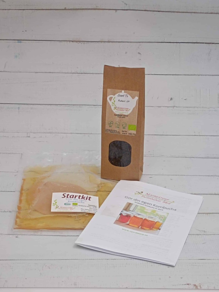 Startkit Kombucha inkl. 75g ekologiskt svartte