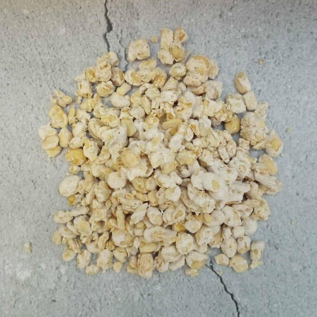 [KOJI-bönor400] Dried Koji Beans on field beans