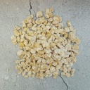 Dried Koji Beans on field beans