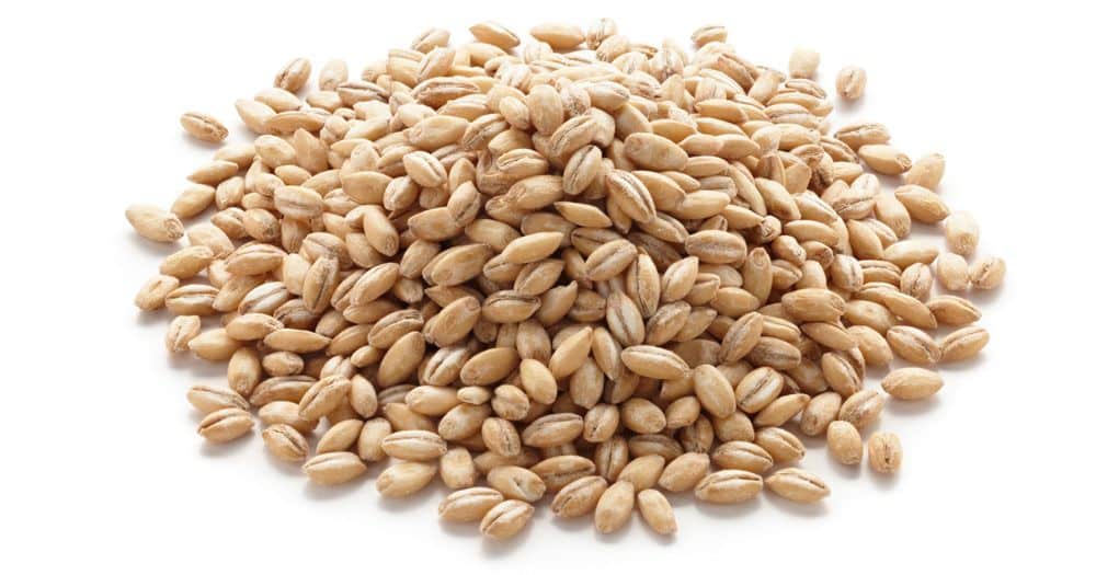 [Pärlkorn750g] Ekologisk Pärlkorn
