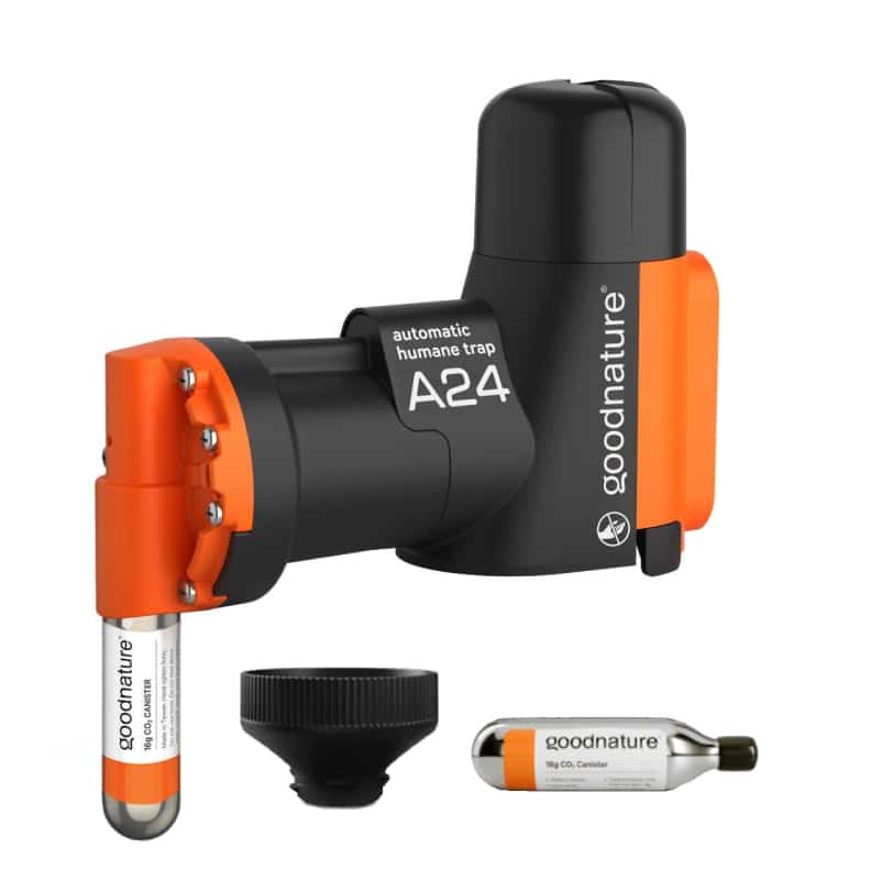 [A24goodnature] Goodnature A24 musfälla och råttfälla