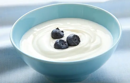 Bulgarisk Yoghurt Startkultur (10 l)