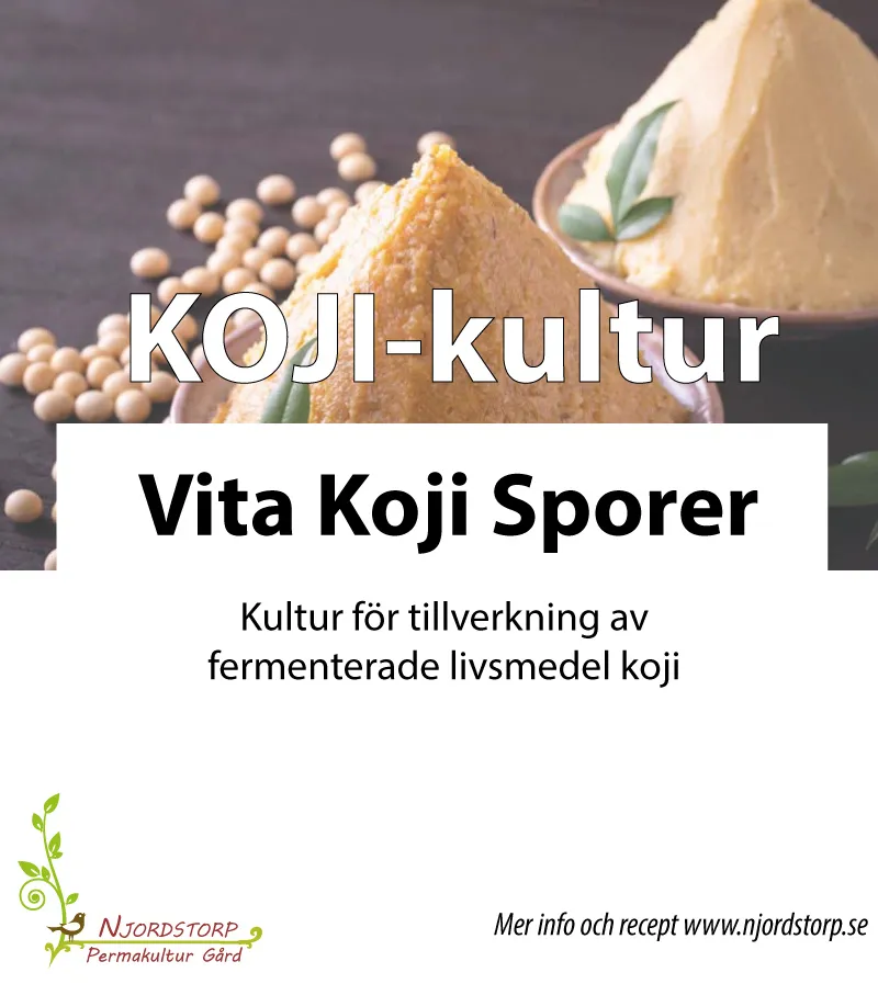 Koji startkultur till vit miso (25 g)