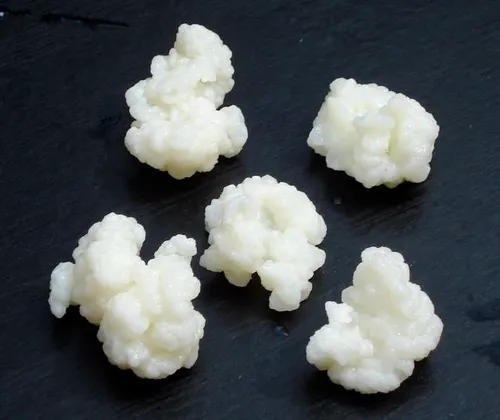[KEFutanSil] Kefir groats starter kit organic (Without)