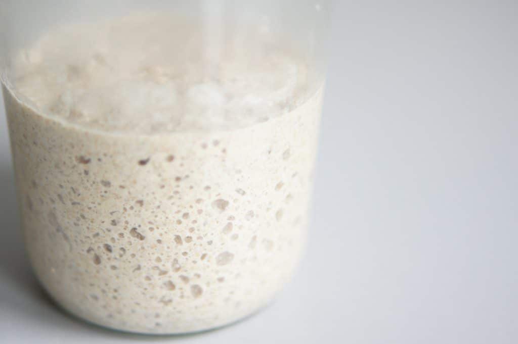 Starter kit sourdough bread